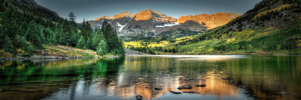 43909943099436|43909944180780|43909944213548|43909944246316